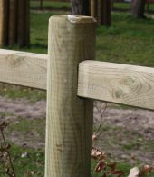 cloture pour chevaux