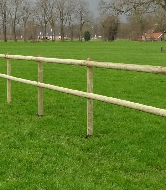 cloture chevaux bois