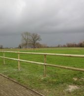 cloture chevaux bois