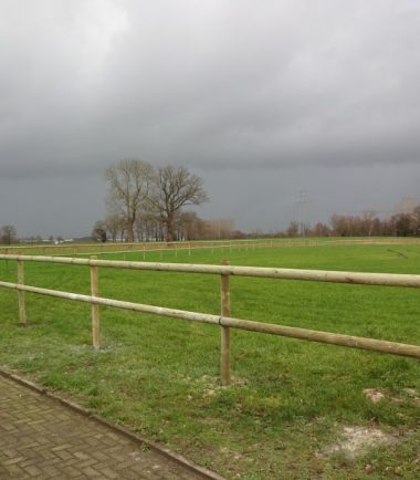 cloture chevaux bois