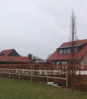 cloture chevaux bois