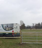 cloture chevaux bois