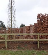 cloture chevaux bois