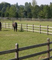 cloture pour chevaux