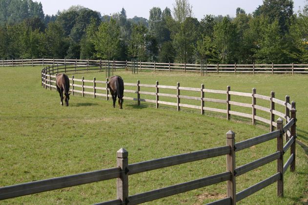 cloture pour chevaux cloture pour chevaux