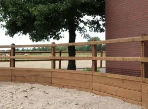 rond de longe pour chevaux Tanatone
