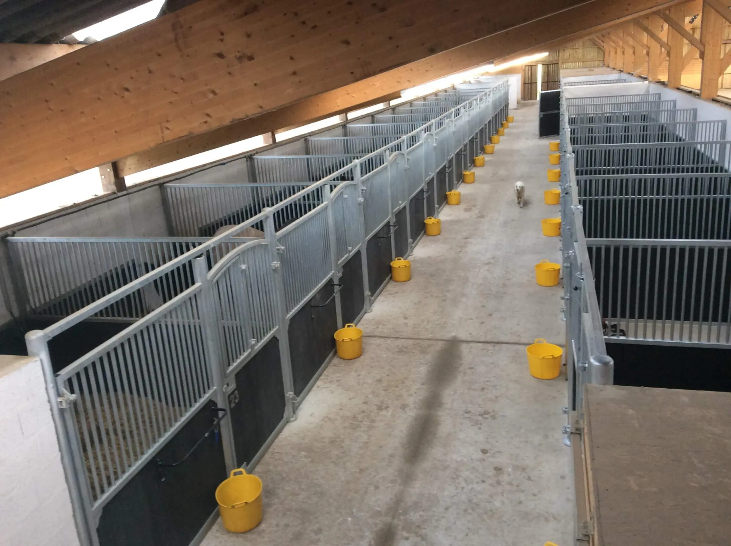 Sterke draaibare voorwanden paardenstal-paardenbox