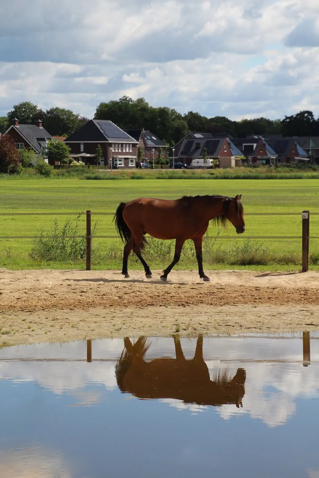 Water voorziening paddock paradise