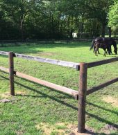 cloture chevaux bois
