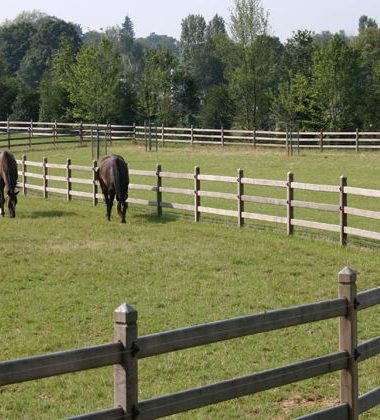 cloture pour chevaux