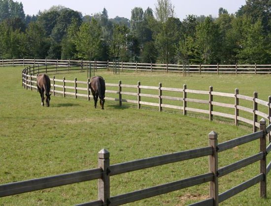 Clôture pour chevaux en bois dur, 3 lisses, encastré | CLOTURE POUR CHEVAUX